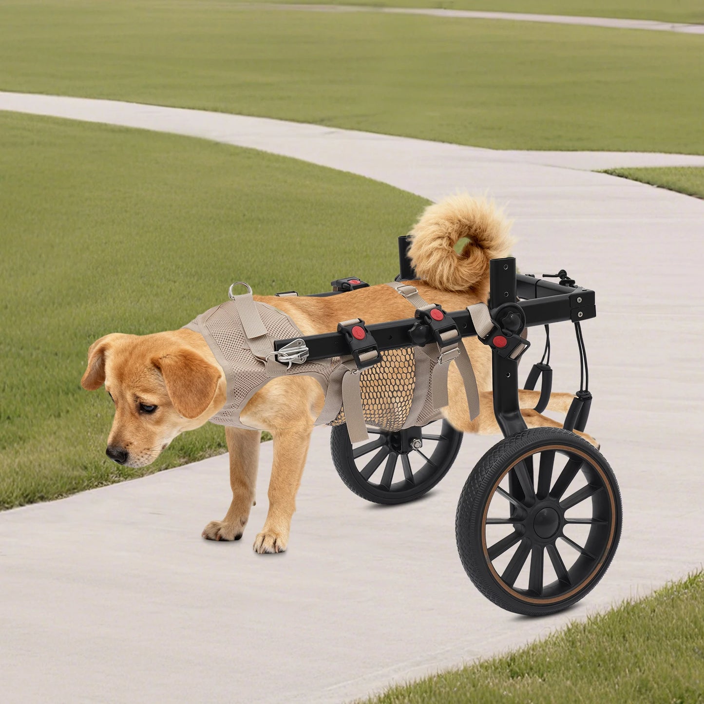 Bymaocar Pet Rehabilitation Walking Aid 2-Wheel Dog Wheelchair