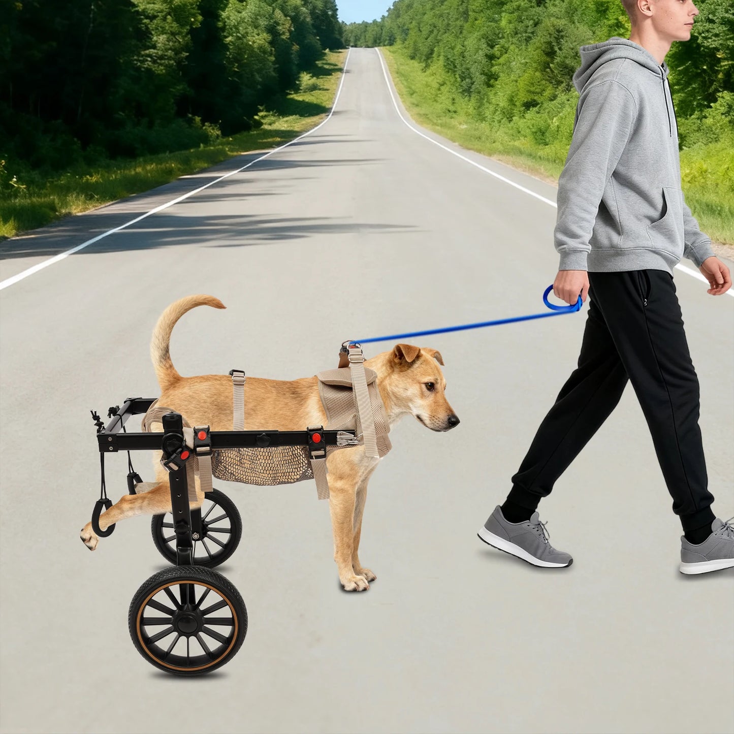 Bymaocar Pet Rehabilitation Walking Aid 2-Wheel Dog Wheelchair