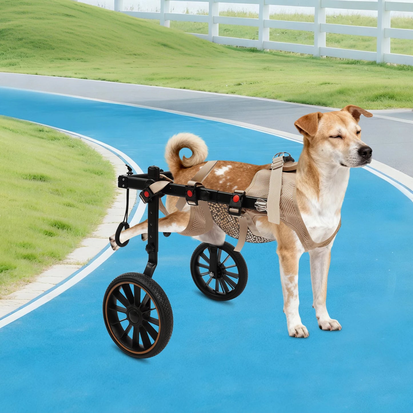Bymaocar Pet Rehabilitation Walking Aid 2-Wheel Dog Wheelchair