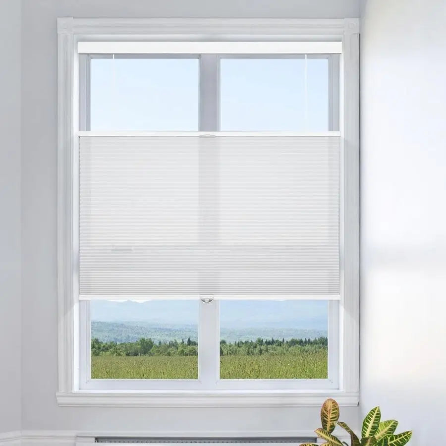 Top Down Bottom Up Cordless Cellular Shades For Windows