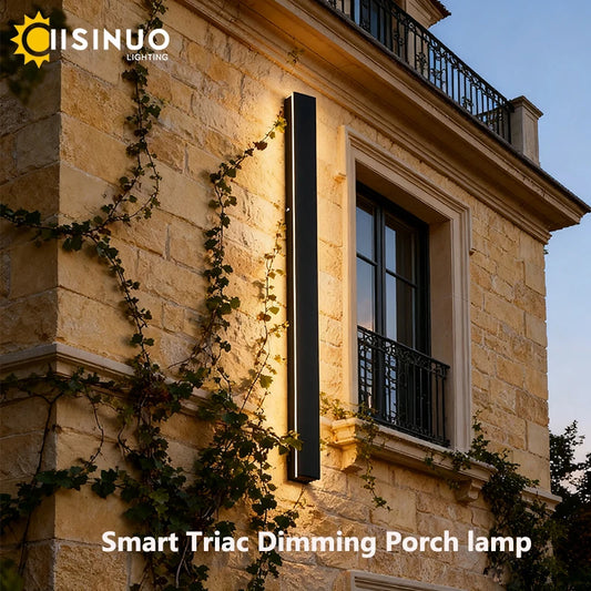 IISINUO Outdoor Porch Wall Light Smart Dimmable IP67 Stainless Steel